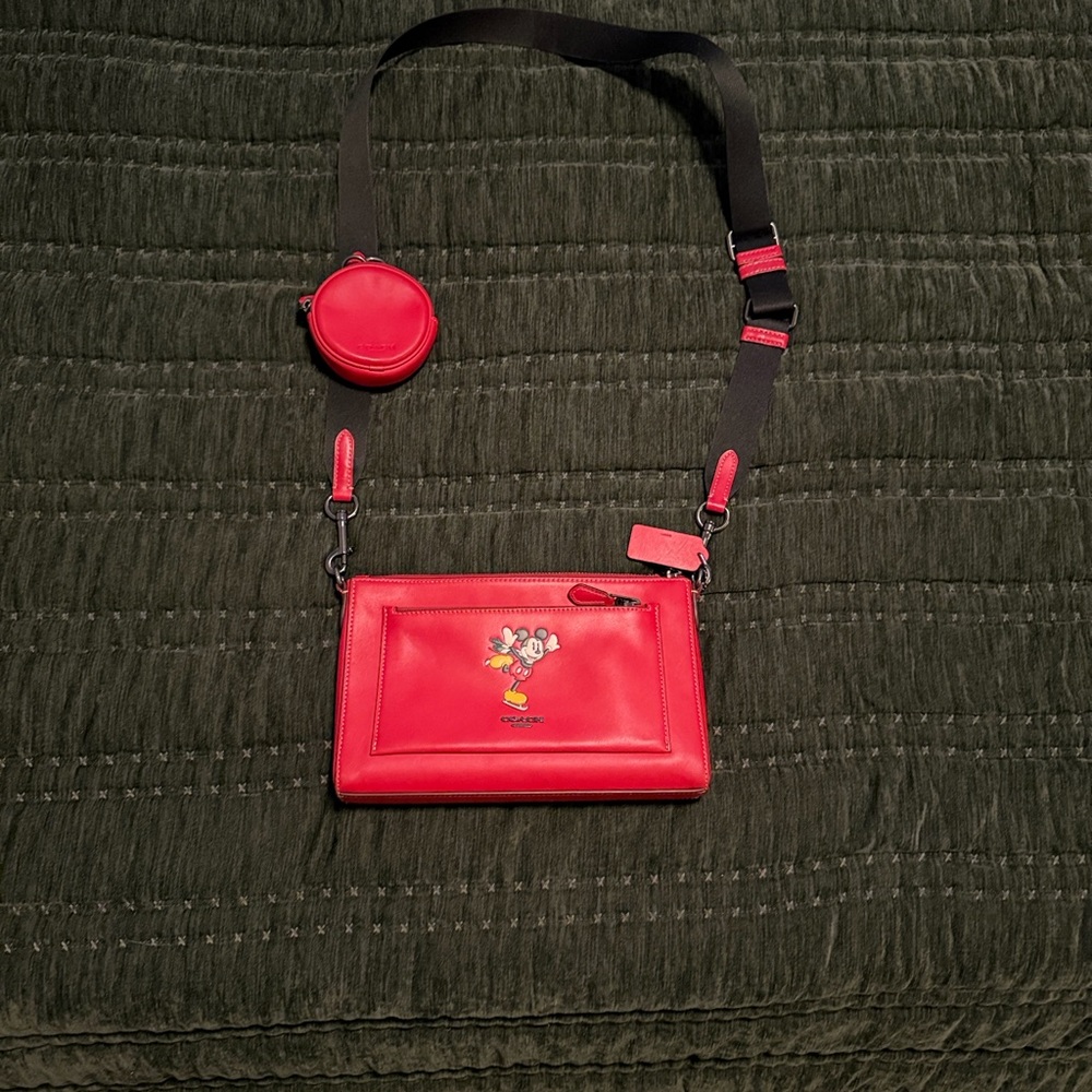Disney x Coach
